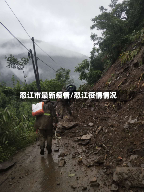 怒江市最新疫情/怒江疫情情况-第1张图片