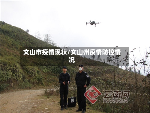 文山市疫情现状/文山州疫情防控情况-第1张图片