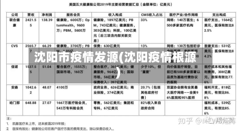 沈阳市疫情发源(沈阳疫情根源)-第3张图片