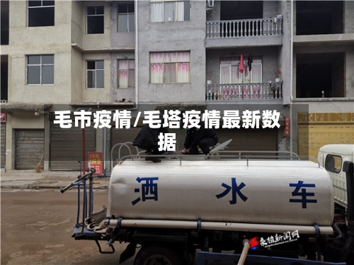 毛市疫情/毛塔疫情最新数据-第1张图片
