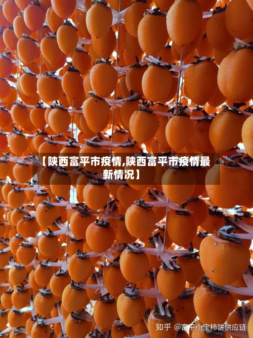 【陕西富平市疫情,陕西富平市疫情最新情况】-第1张图片