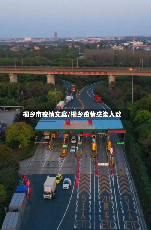 桐乡市疫情文案/桐乡疫情感染人数-第3张图片
