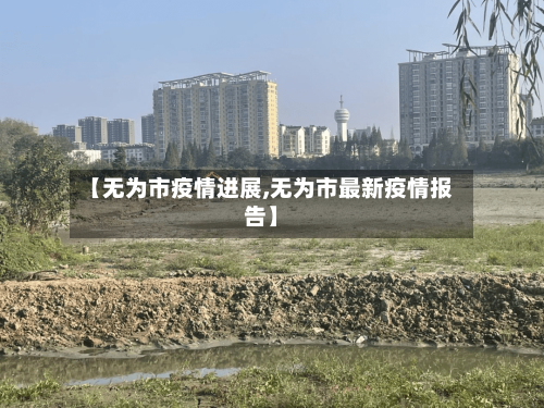【无为市疫情进展,无为市最新疫情报告】-第2张图片