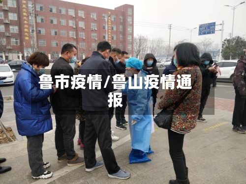 鲁市疫情/鲁山疫情通报-第1张图片