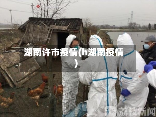 湖南许市疫情(h湖南疫情)-第2张图片