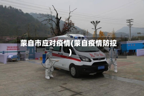 蒙自市应对疫情(蒙自疫情防控)-第2张图片