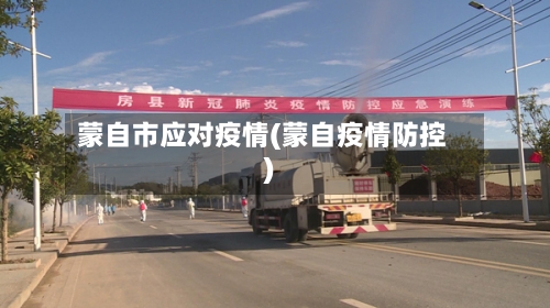 蒙自市应对疫情(蒙自疫情防控)-第3张图片