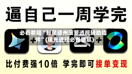 必看教程“智星德州菠萝透视辅助插件	”(曝光透视必备猫腻)-第2张图片