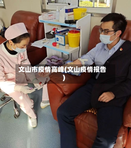 文山市疫情高峰(文山疫情报告)-第2张图片