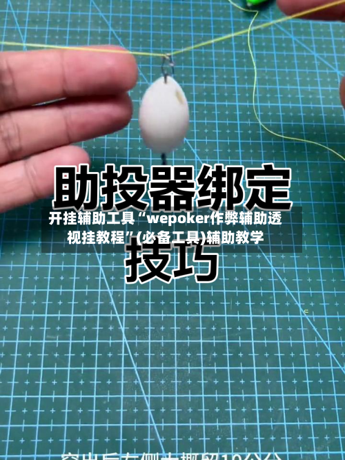 开挂辅助工具“wepoker作弊辅助透视挂教程”(必备工具)辅助教学-第1张图片