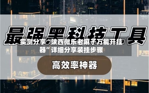 实测分享“陕西微乐老麻子万能开挂器”详细分享装挂步骤-第1张图片