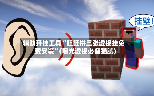 辅助开挂工具“旺旺拼三张透视挂免费安装”(曝光透视必备猫腻)-第1张图片