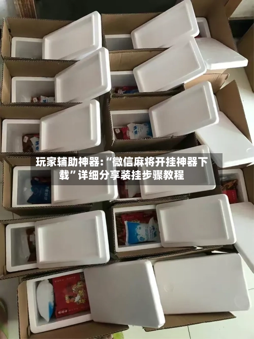 玩家辅助神器:“微信麻将开挂神器下载	”详细分享装挂步骤教程-第1张图片