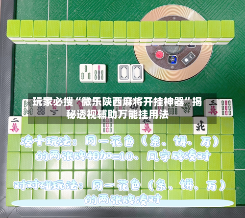 玩家必搜“微乐陕西麻将开挂神器”揭秘透视辅助万能挂用法-第1张图片