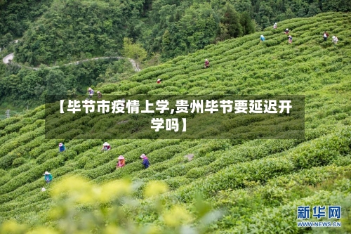 【毕节市疫情上学,贵州毕节要延迟开学吗】-第1张图片