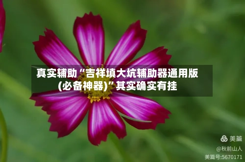 真实辅助“吉祥填大坑辅助器通用版(必备神器)	”其实确实有挂-第1张图片