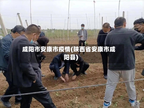 咸阳市安康市疫情(陕西省安康市咸阳县)-第2张图片