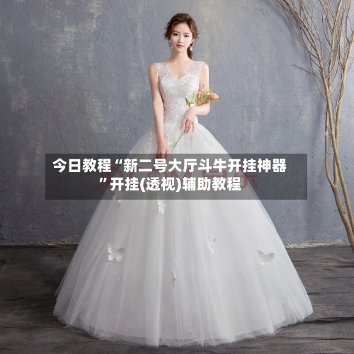 今日教程“新二号大厅斗牛开挂神器	”开挂(透视)辅助教程-第2张图片