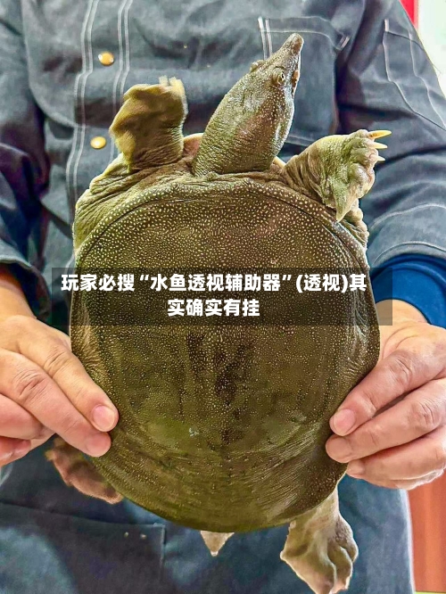 玩家必搜“水鱼透视辅助器	”(透视)其实确实有挂-第1张图片