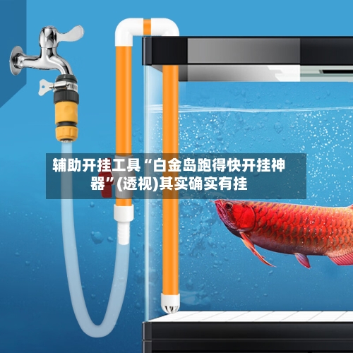 辅助开挂工具“白金岛跑得快开挂神器	”(透视)其实确实有挂-第1张图片