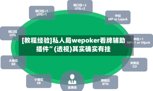 [教程经验]私人局wepoker看牌辅助插件”(透视)其实确实有挂-第3张图片