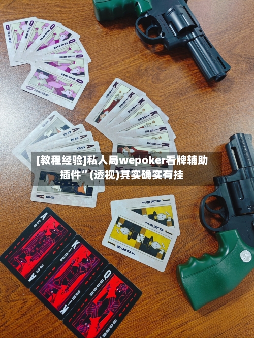 [教程经验]私人局wepoker看牌辅助插件”(透视)其实确实有挂-第2张图片