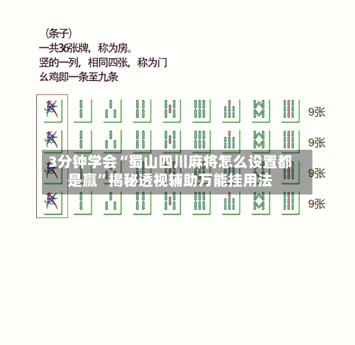 3分钟学会“蜀山四川麻将怎么设置都是赢	”揭秘透视辅助万能挂用法-第1张图片