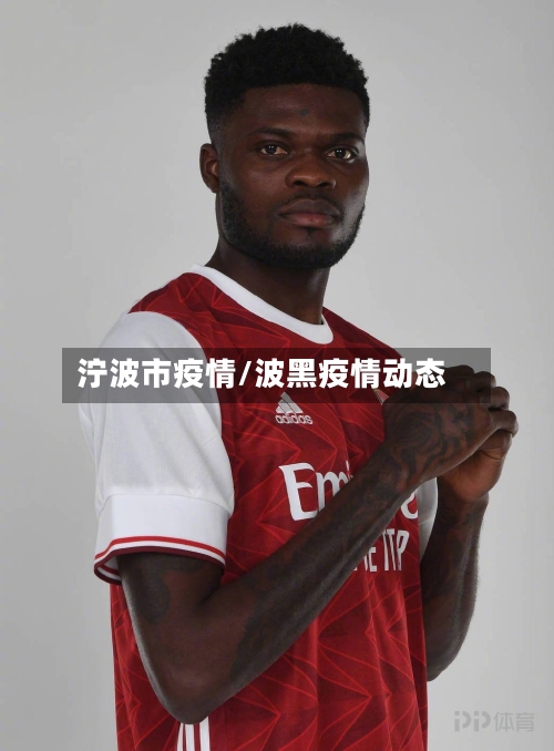 泞波市疫情/波黑疫情动态-第1张图片