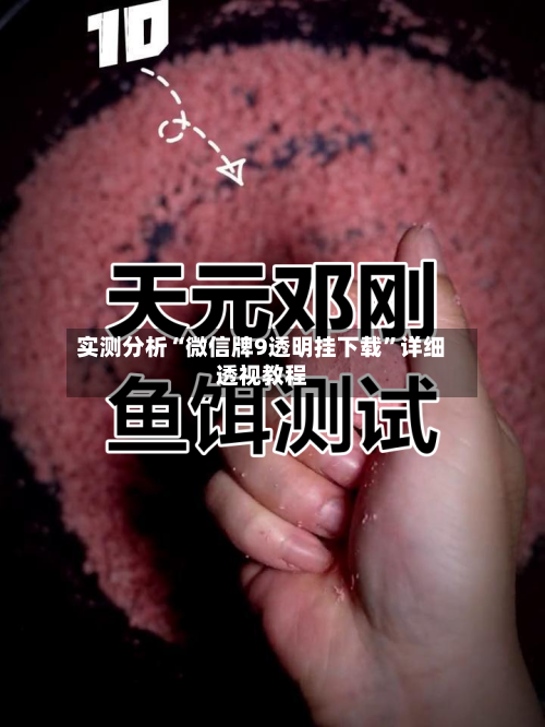 实测分析“微信牌9透明挂下载”详细透视教程-第1张图片