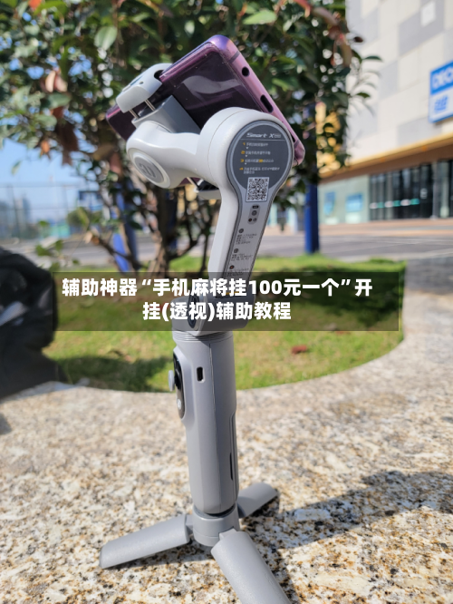 辅助神器“手机麻将挂100元一个”开挂(透视)辅助教程-第1张图片