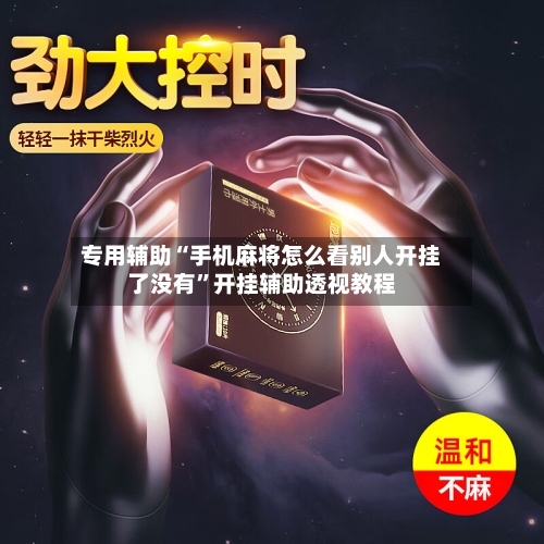 专用辅助“手机麻将怎么看别人开挂了没有”开挂辅助透视教程-第3张图片