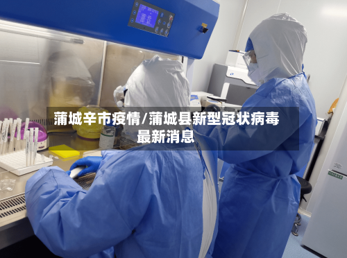 蒲城辛市疫情/蒲城县新型冠状病毒最新消息-第3张图片