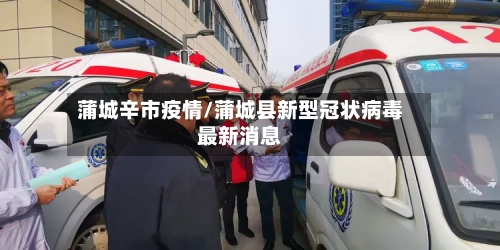蒲城辛市疫情/蒲城县新型冠状病毒最新消息-第1张图片