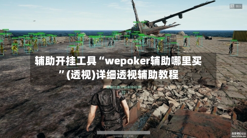 辅助开挂工具“wepoker辅助哪里买”(透视)详细透视辅助教程-第1张图片