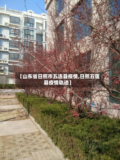 【山东省日照市五连县疫情,日照五莲县疫情轨迹】-第1张图片