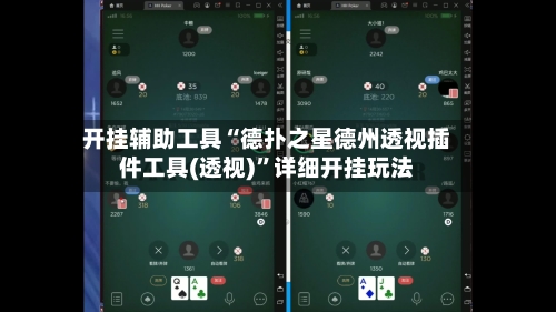开挂辅助工具“德扑之星德州透视插件工具(透视)”详细开挂玩法-第2张图片