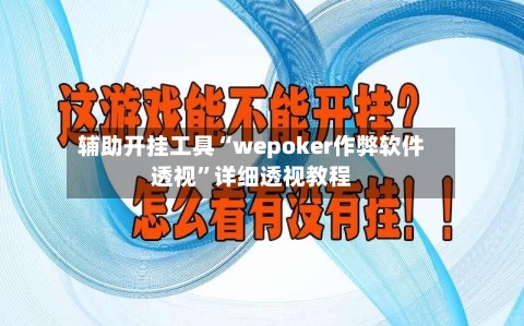 辅助开挂工具“wepoker作弊软件透视”详细透视教程-第1张图片