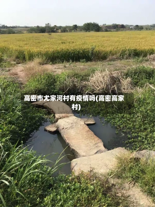 高密市尤家河村有疫情吗(高密高家村)-第3张图片