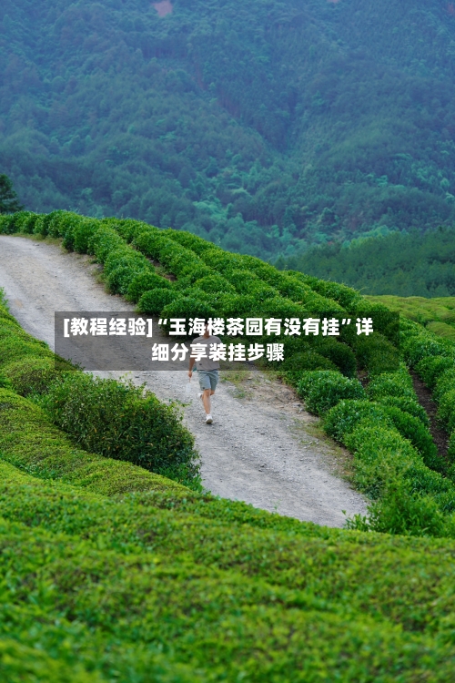 [教程经验]“玉海楼茶园有没有挂	”详细分享装挂步骤-第2张图片