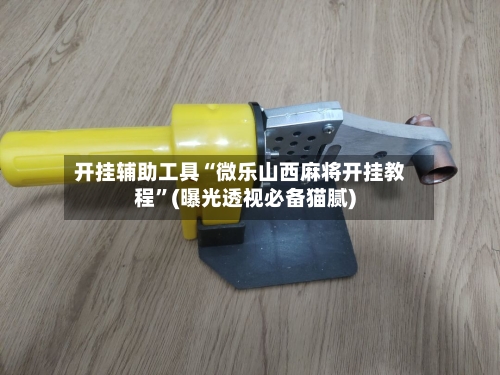 开挂辅助工具“微乐山西麻将开挂教程”(曝光透视必备猫腻)-第3张图片