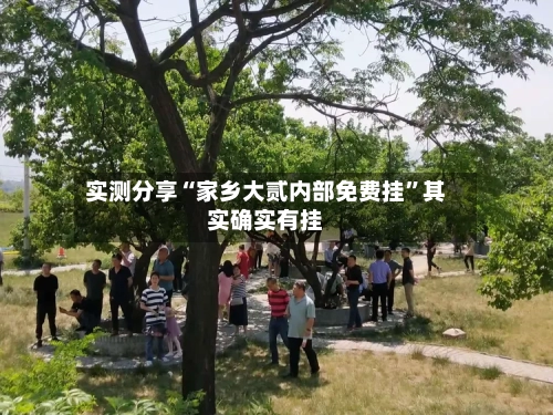 实测分享“家乡大贰内部免费挂”其实确实有挂-第3张图片