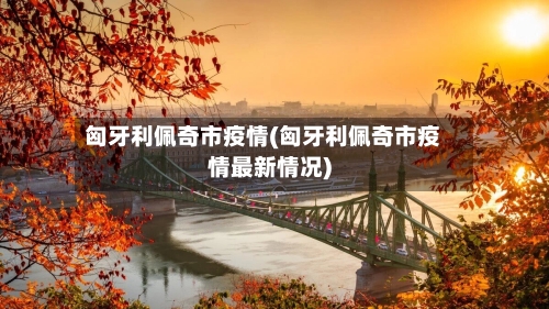 匈牙利佩奇市疫情(匈牙利佩奇市疫情最新情况)-第3张图片