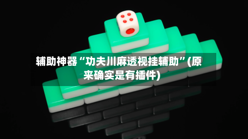 辅助神器“功夫川麻透视挂辅助	”(原来确实是有插件)-第3张图片