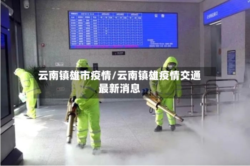 云南镇雄市疫情/云南镇雄疫情交通最新消息-第2张图片