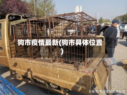 狗市疫情最新(狗市具体位置)-第1张图片