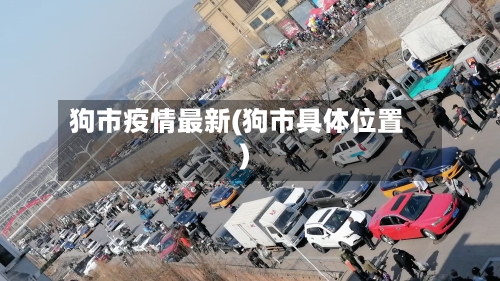 狗市疫情最新(狗市具体位置)-第3张图片