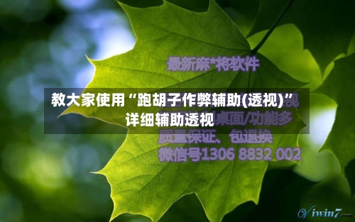 教大家使用“跑胡子作弊辅助(透视)”详细辅助透视-第2张图片