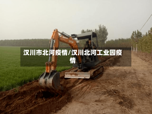 汉川市北河疫情/汉川北河工业园疫情-第1张图片