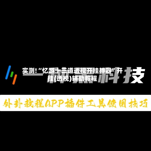 实测!“忆游十三道透视开挂神器	”开挂(透视)辅助教程-第1张图片