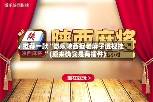 推荐一款“微乐陕西捉老麻子透视挂”(原来确实是有插件)-第2张图片